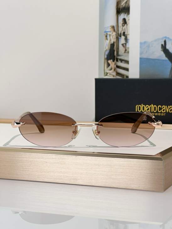 Picture of Roberto Cavalli Sunglasses _SKUfw79279467fw